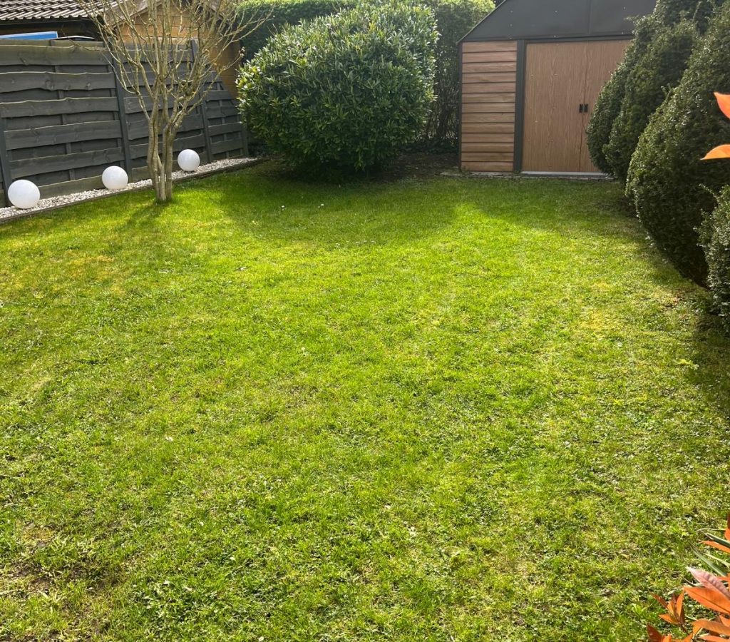 234ec719-6cff-4c30-a7f8-8336ea5d6193