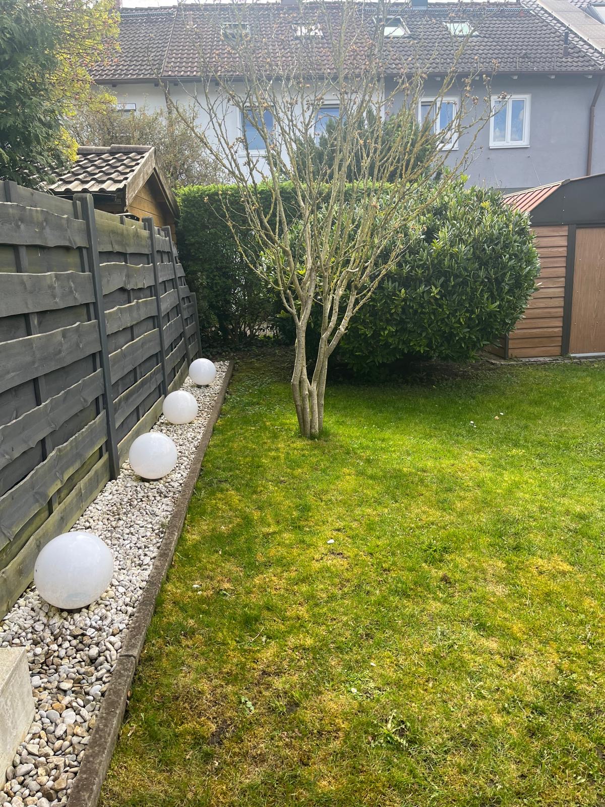 def9ca81-d66c-40f9-bc4d-d2b461774bc5